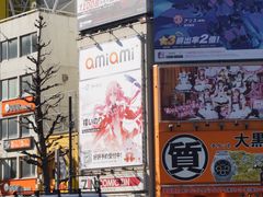 -Animate(秋叶原本馆)