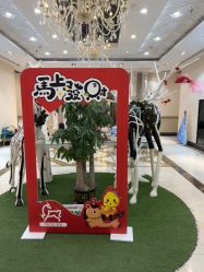 -同远QQBABY亲子摄影(北京路店)