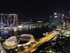 -新加坡瑞士史丹福酒店