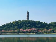 -顺峰山公园
