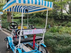 -昆山城市生态森林公园