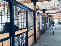 -北京群众马术培训基地