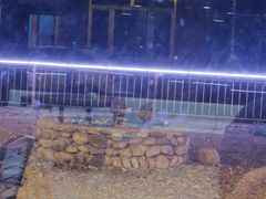 -俺家菜馆(百里峡店)