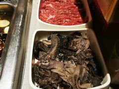 -海底捞火锅(万象城店)