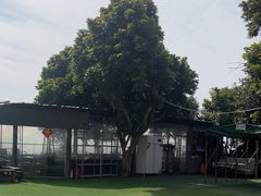 -清源山美食·云顶文化创意园