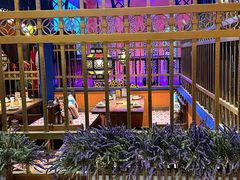 -清真·双公羊·馕坑烤全羊(奥体店)