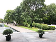 -复旦大学附属华山医院(浦东院区)