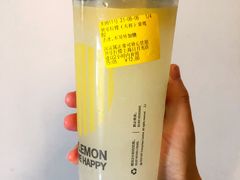 -快乐柠檬happylemon(日月光店)