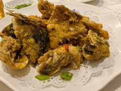 -寻味顺德·南记酒家·传统顺德菜·鱼生(广源路店)