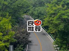 -棒棰岛宾馆景区