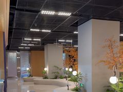 -帕帕拉兹宠物(亚洲旗舰店)