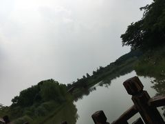 -南湖湿地公园