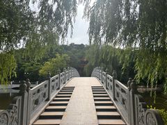 -大连植物园