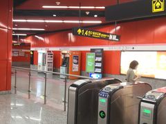 -金饭碗(普陀店)