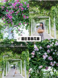 -太湖雪蚕桑文化园