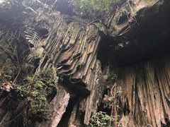 -百魔洞景区