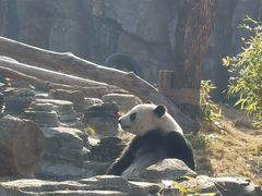 -武汉动物园