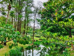 -人民公园(罗湖区)