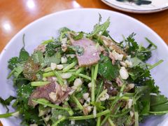 -全乐鱼馆·淳牌有机鱼直营店