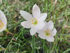 -大妙火锅·非物质文化遗产(东湖公园店)