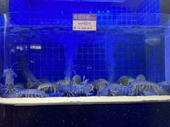-協成海鮮火鍋(老店)
