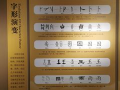 -安阳博物馆