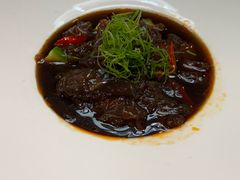 -丁老爷子苏香圆