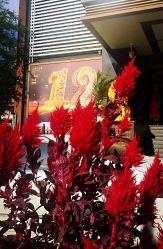-中国黄金(北京旗舰店)