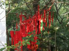 -敬亭山风景名胜区