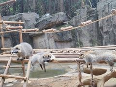 -杭州野生动物世界