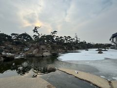 -罗红摄影艺术馆