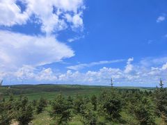 -草原天路(张北县)