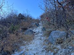 -北京西山国家森林公园