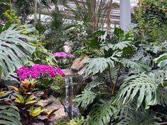 -郑州植物园