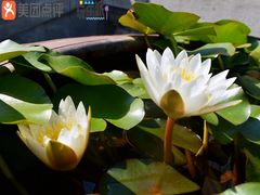 -溪口-滕头旅游景区