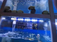 -泮金大塘(北二七路店)