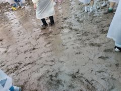 -上海国际音乐村