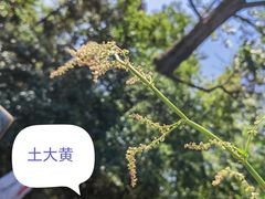 -老山国家森林公园