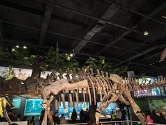 -国家自然博物馆