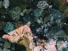 -虹口漂流