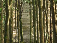 -阳台山森林公园