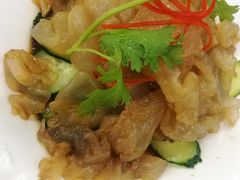 老醋蜇头-玉华台饭庄(裕中西里小区店)