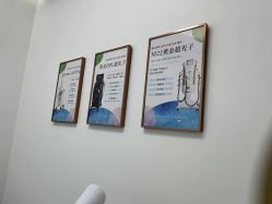 -agge蛋白医美