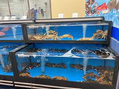 -盒马X会员店(王府井奥莱UP TOWN店)