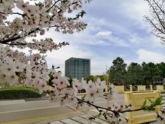 -同济大学(嘉定校区)