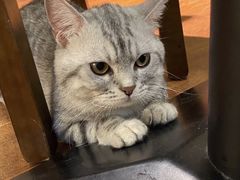 -H立方实景剧情密室(天河旗舰店)