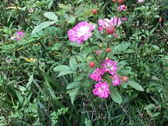 -无锡市市民中心