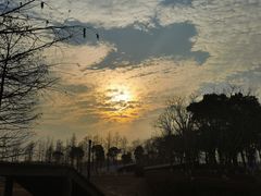 -春花秋色城市公园