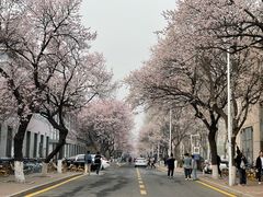 -吉林大学(南岭校区)