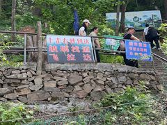 -帽儿山风景区